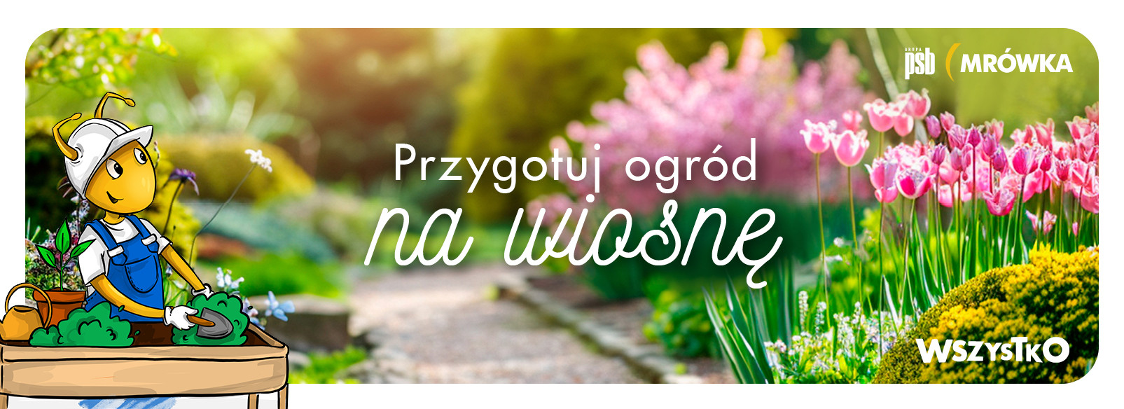 Grupa PSB mrowka PSB Mrówka Busko Zdrój