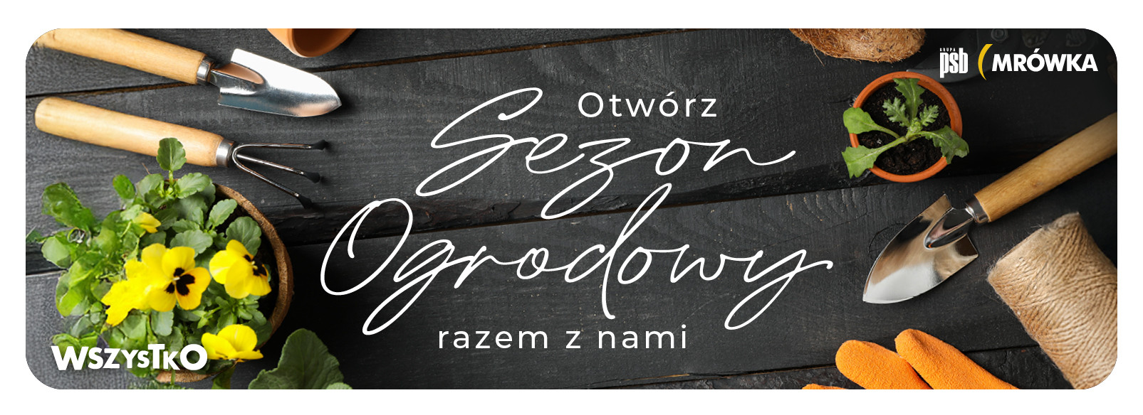 Grupa PSB mrowka PSB Mrówka Busko Zdrój