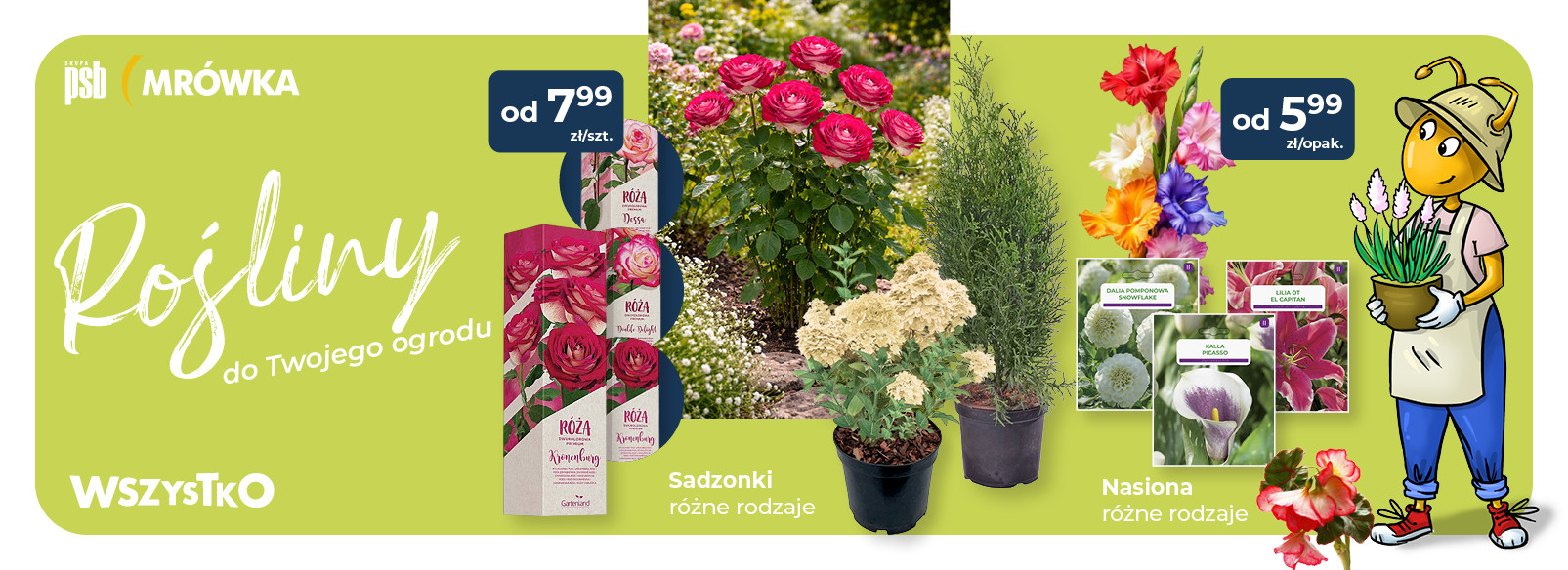 Grupa PSB mrowka PSB Mrówka Busko Zdrój