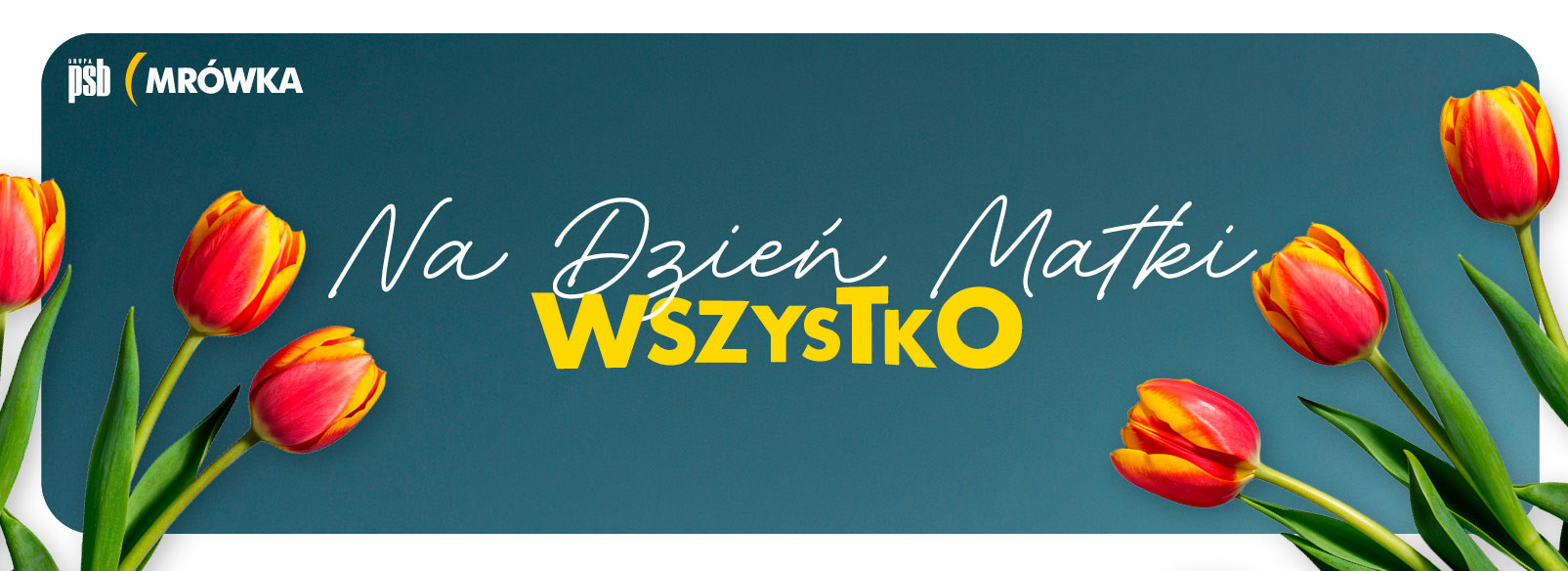 Grupa PSB mrowka PSB Mrówka Busko Zdrój